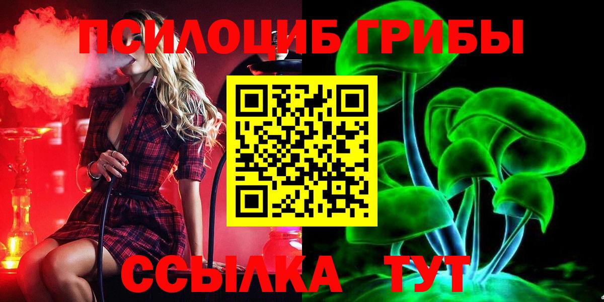 Галлюциногенные грибы мицелий Россия