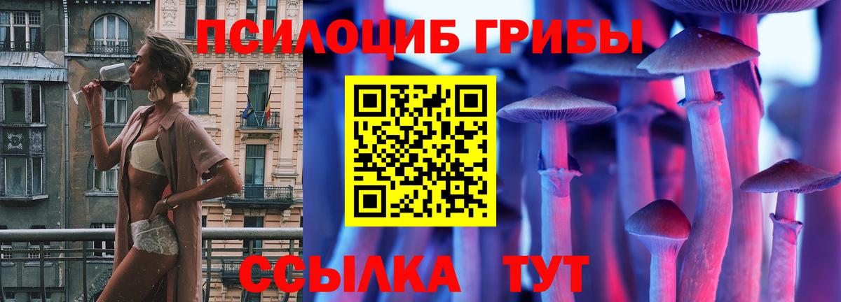 Псилоцибиновые грибы Cubensis  даркнет сайт  Россия  Вход с VPN 